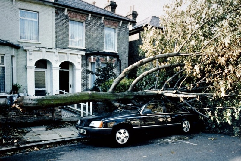 Tree fallen onto a car in London following the storm on 16 October 1987. Image credit: Maurice Nimmo / Science Photo Library / Universal Images Group / Rights Managed / For Education Use Only.
